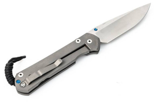 3810 Chris Reeve Large Sebenza 21 Polished Blade фото 2
