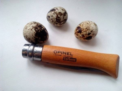 Складной нож Opinel №7 VRN Carbon фото 4