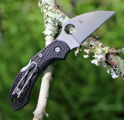 Складной нож Spyderco Dragonfly 2 Wharncliffe C28FPWCBK2 фото 8 Складной нож Spyderco Dragonfly 2 Wharncliffe C28FPWCBK2 фото 8